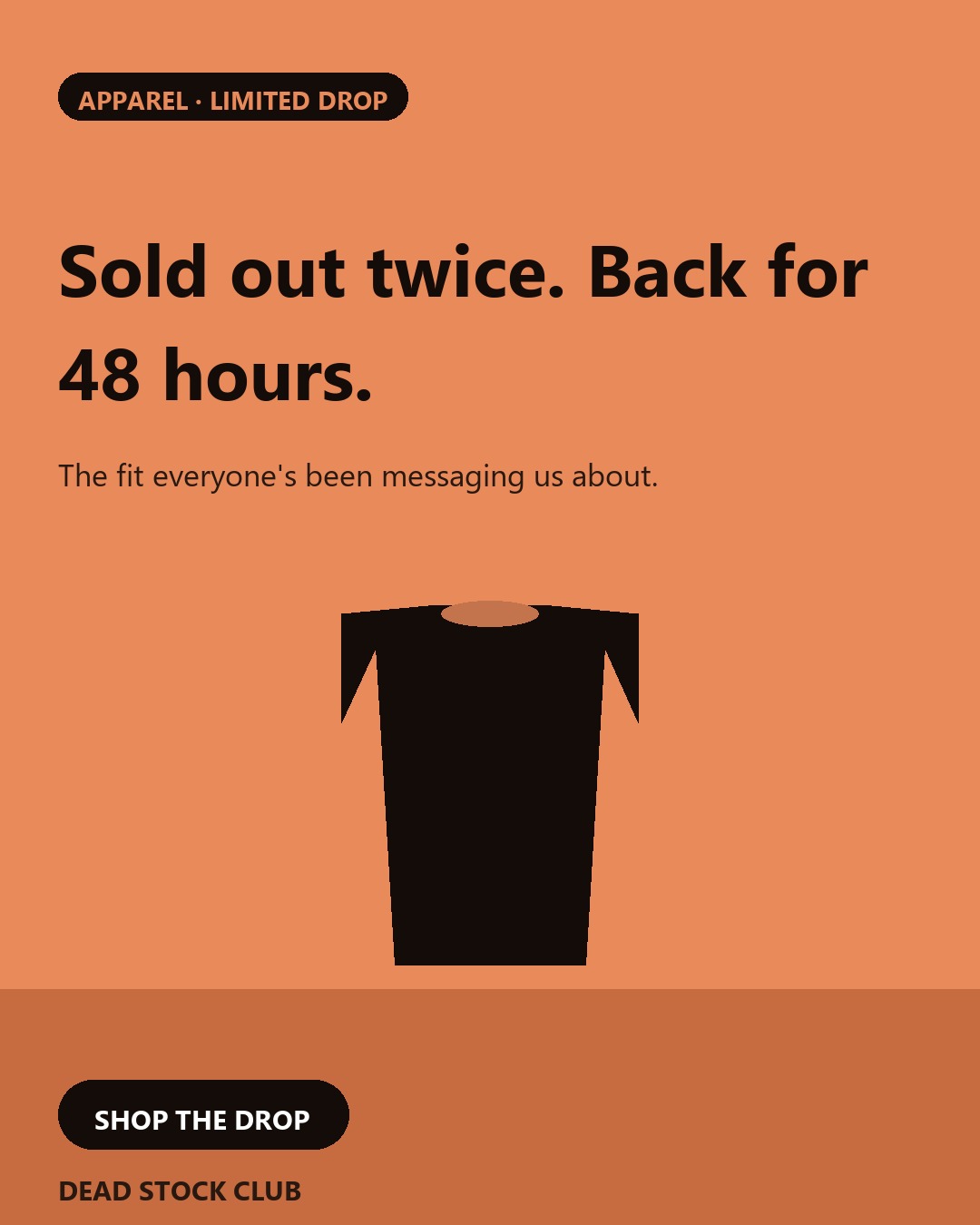 Static ad concept for a fictional apparel brand, Dead Stock Club